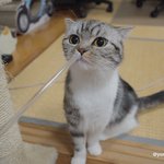 입냄새, 생얼판! (유봉이 앙즈판)