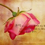 잃어버린 <b>사랑</b>을 찾아서