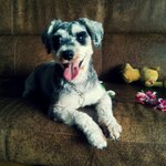 꼭 찾고싶어요...2개월동안 안잊어져요ㅜ