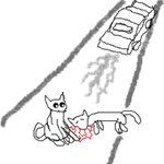 불쌍한 길냥이를 보면서...