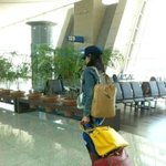 브라우니 정여사 두고 장백지와 중국 <b>강제출국</b>??