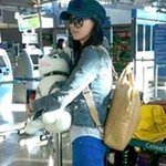 브라우니 정여사 두고 장백지와 중국 <b>강제출국</b>??