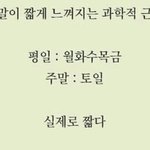 <b>주말</b>이 짧게 느껴지는 과학적 근거 jpg.