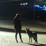 [사진,빵터지는동영상有]  세퍼트 페로 이야기
