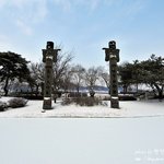 <b>찬란</b>한 하얀색의 천안 삼거리공원 풍경