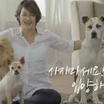 애견샵이 <b>방치</b>됬어요 후기
