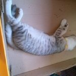 23살 자취녀생 <b>동물</b>농장에서 산다!! 2탄!!