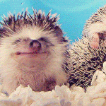 ///설렘녀 쉬어가기/// <b>엄마미소</b>지어지는 사진들