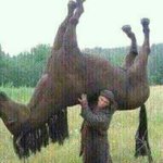 여러분 <b>제</b> <b>말</b>쫌 들어주세요...