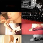 2012 레드카펫의 히로인!? 그녀는 누굴까?