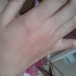 <b>엘리</b>샹뜨 들어보셨나요??