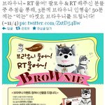 [ak몰 트위터 이벤트]정여사 - 브라우니를 가지고 싶다면~~?...