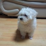 ［1탄］ <b>넝쿨</b>째 굴러온 여름이!