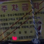 사진有) <b>송파구</b> 주차단속의 실체.