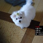 두유노(<b>do</b> you know) 두유?