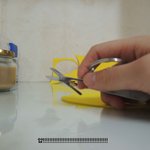 1. 애니퐝퐝 불!꽃!처!럼! 터!!져!! 쀄이쀄!!! (부제:...