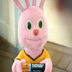 갖고 싶은 귀여운 토끼 인형