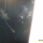 소비자는 봉 10년만에 억울한일을 <b>lg</b> 전자의 무책임한 행동