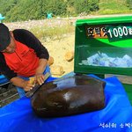 <b>토드</b>님...