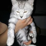 사진 有) 우리집 톰과 제리