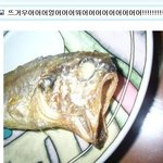 길지만<b>빵</b>터지는미친댓글155ㅋㅋㅋㅋㅋㅋㅋㅋㅋㅋㅋㅋㅋㅋㅋㅋㅋ