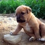 피부관리샵 <b>vip</b> 부럽지않은 셀프 고무팩(모델링팩) 하기