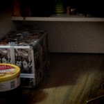 가수아이비보다 샥시한 우리 아입이(아비시니안)