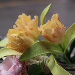 설탕공예 슈가플라워 입니다~