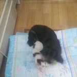 요즘 이맛에 삽니다~~2