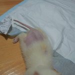 서울시 관악구 <b>봉천동</b>에 사시는분계시나요?ㅠ