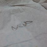 청x원 뷰티칼로리면(스파게티)에서 철수<b>세미</b> 나왔어요 ㅠㅠ사진有