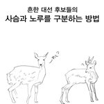 흔한 대선 후보들의 <b>사슴</b>과 노루를 구분하는 방법.jpg