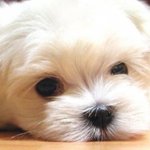 지하철에서 여고<b>딩들</b>이 계단올라가는데