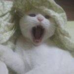 (정체불명) 우리집 피로물질 !!!!!!!!!!!!!!!!!!!...