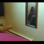 여러분 떠납시다!!