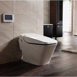 <b>비데</b> 사용이 산모와 태아 건강에 좋을지....