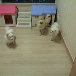 세종<b>대왕</b>의 도둑질, 한글이의 동거 [28]