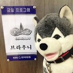 브라우니 남자 밝힘증의 진실.jpg