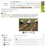 <b>감자</b> 낳는 할무니..jpg