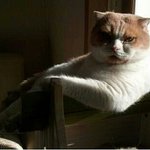 (공감100%/사진有)<b>한때</b>유행했던 남자헤어스타일