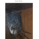 장롱을 바꾸려고 장롱을 <b>드러</b>냇더니(혐오주의)