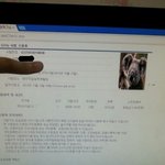 <b>코알라</b> 때문에 포토샵 자격증 시험 실격당한 같은반 동급생