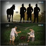 <b>투표</b>하기<b>전</b>에 한번쯤 보면 도움이될꺼에요 ^^(사진有)