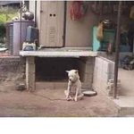 중간고사를 마치고 나서의 나의 상태...