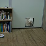 [고슨상이바] 못생긴 <b>이바</b>> 고양이를 위해 방문에 구멍을 뚫었습니다...