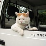 될성부른 떡잎 찾기! <b>흥행</b> 감독들의 과거를 파헤쳐보자!