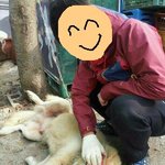 경남 <b>창원</b> 사시는분들 꼭 좀 읽어주세요......(사진첨부)