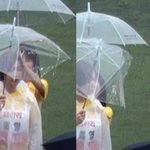 티아라 진심 싫음 어떡함? 나만싫음?