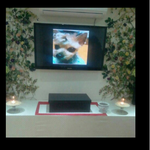 대전 버드내 아파트 <b>정문</b> 맞은편 청운동물병원을 고발합니다