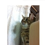 <b>말</b>춤추는 <b>김</b>골뱅이 놀러왔어요><